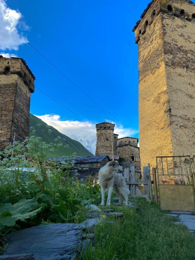 Готель Nizharadze'S Tower Ушґулі Екстер'єр фото